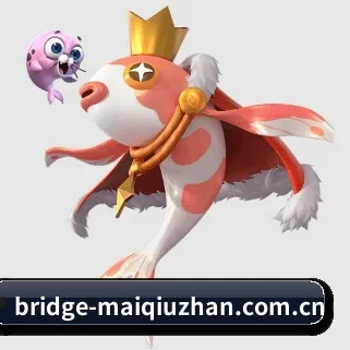 买球站 APP